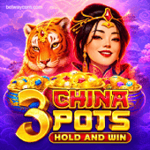 3 China Pots